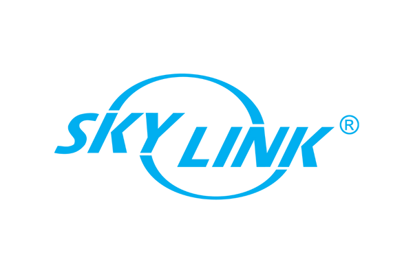 Sky Link Logo